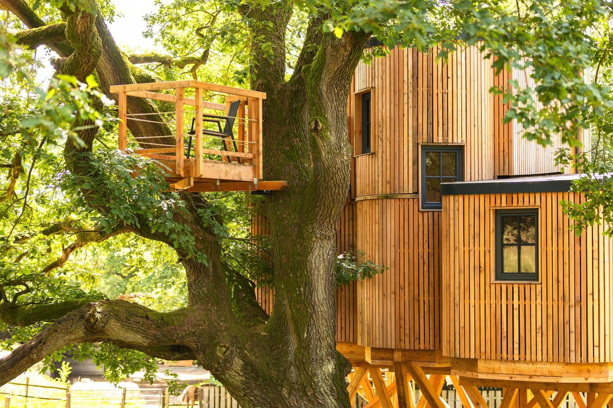 ビスピンゲンHeide Ferien - Hof Bockelmannアパートメント 部屋 写真