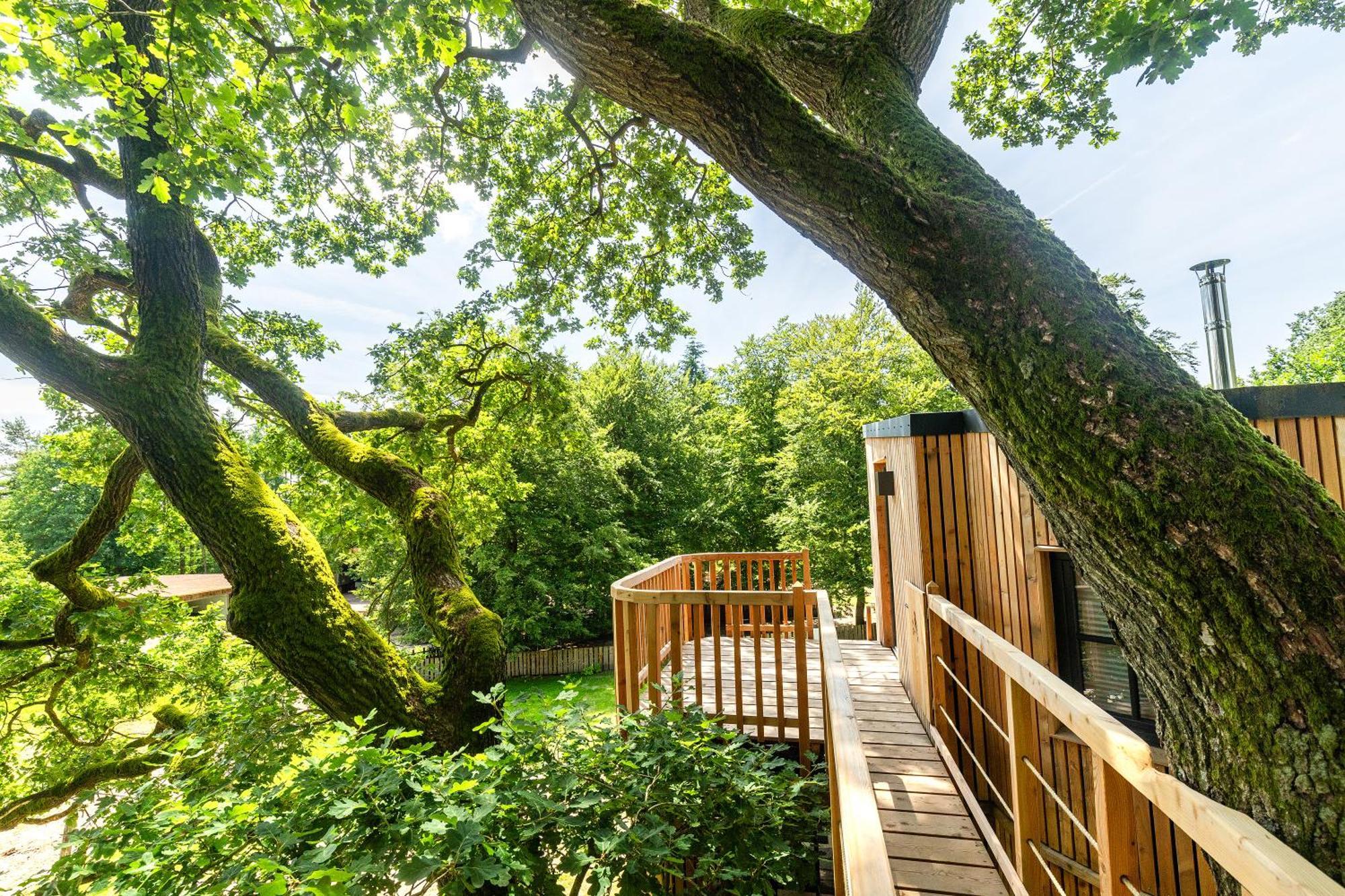 ビスピンゲンHeide Ferien - Hof Bockelmannアパートメント 部屋 写真