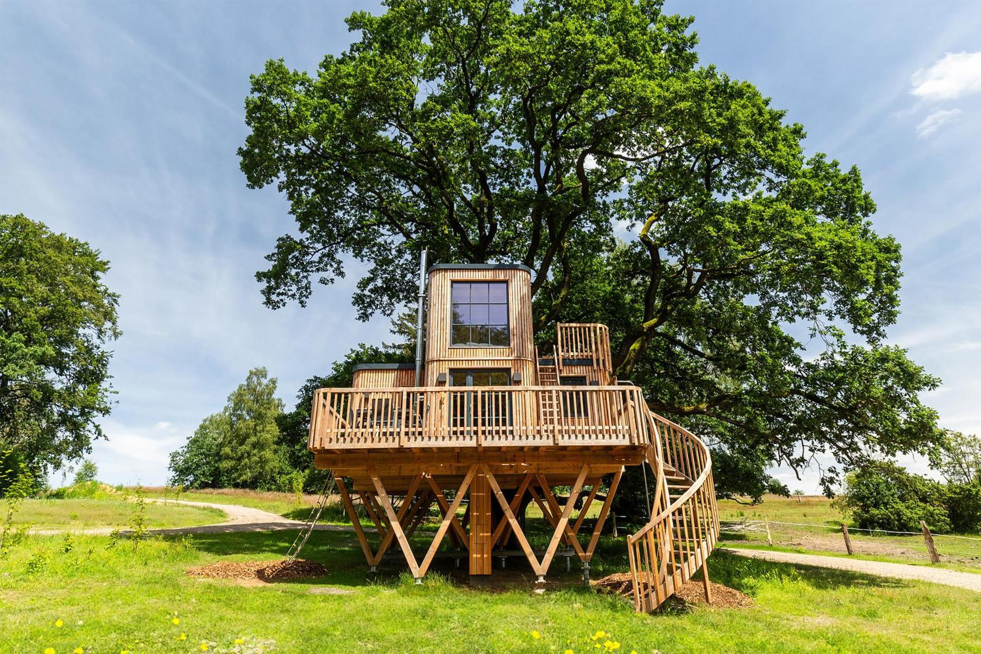 ビスピンゲンHeide Ferien - Hof Bockelmannアパートメント 部屋 写真