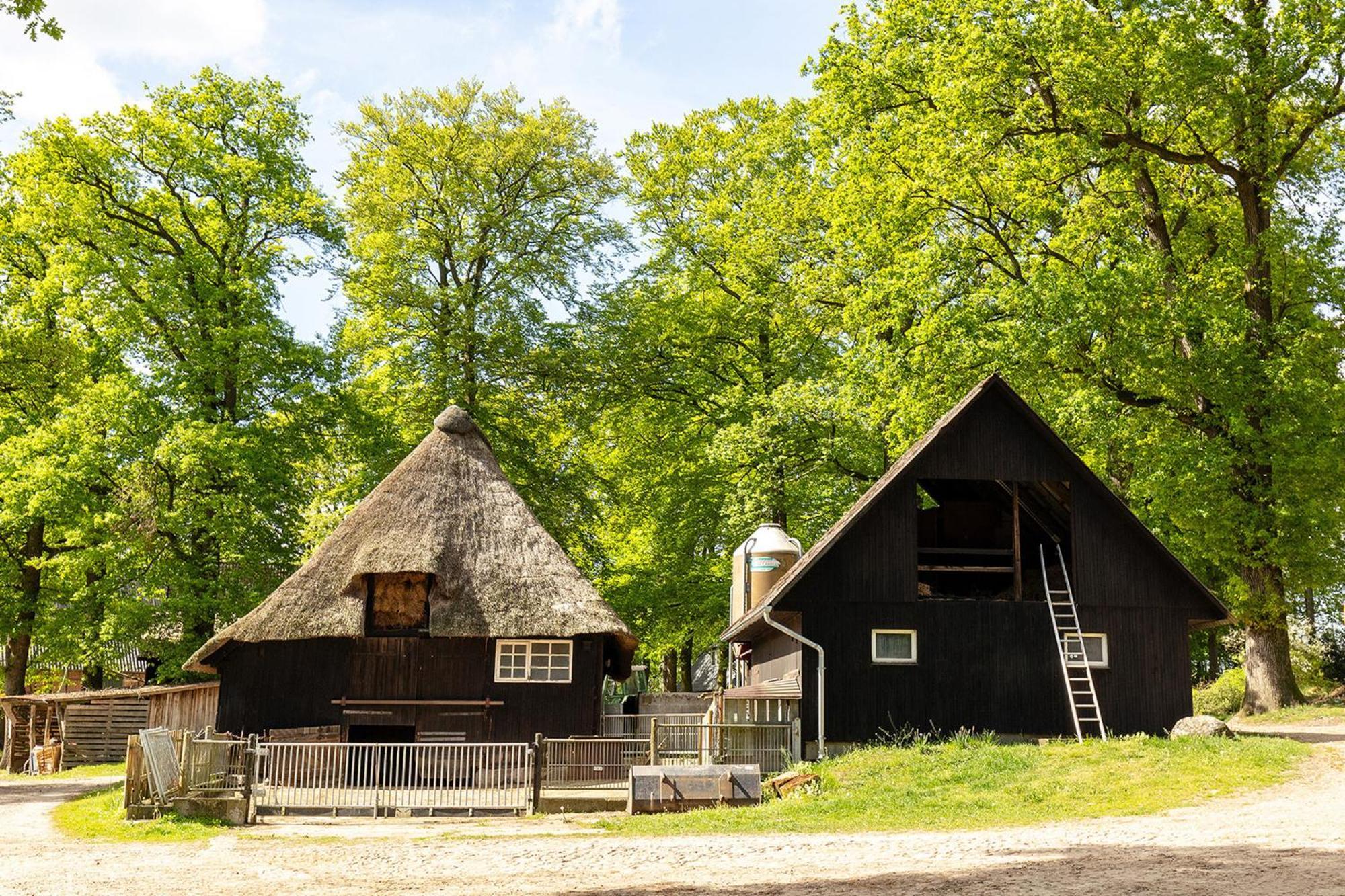 ビスピンゲンHeide Ferien - Hof Bockelmannアパートメント エクステリア 写真