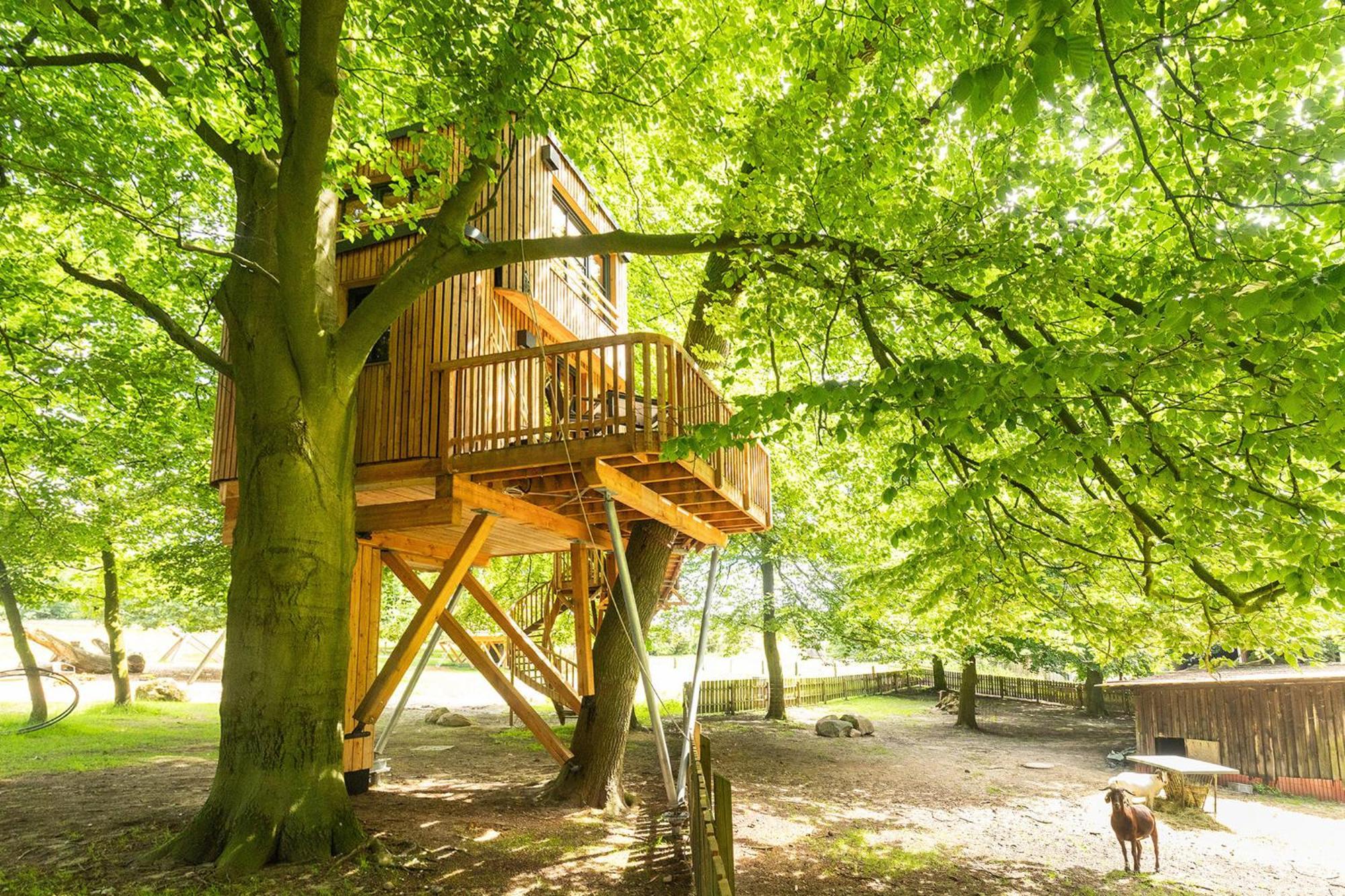 ビスピンゲンHeide Ferien - Hof Bockelmannアパートメント エクステリア 写真