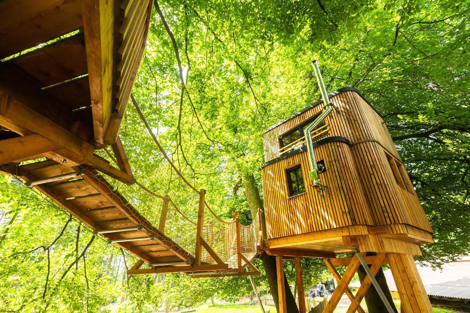 ビスピンゲンHeide Ferien - Hof Bockelmannアパートメント 部屋 写真
