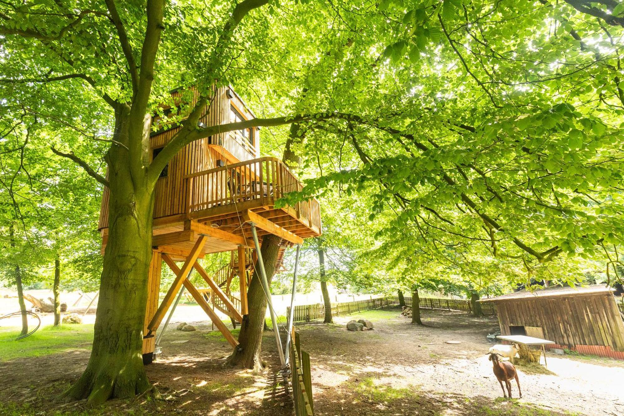 ビスピンゲンHeide Ferien - Hof Bockelmannアパートメント 部屋 写真