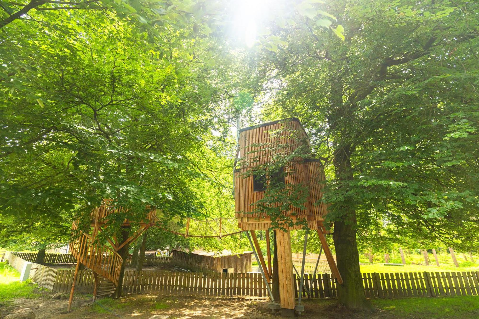 ビスピンゲンHeide Ferien - Hof Bockelmannアパートメント 部屋 写真